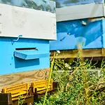Aya Estate Relais & Chateaux Resort Melnik (Blagoevgrad)