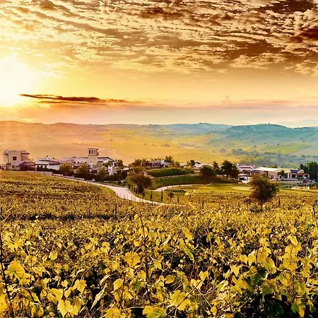 Zornitza Family Estate Relais & Chateaux 3*