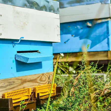 Zornitza Family Estate Relais & Chateaux Feriested Melnik (Blagoevgrad)