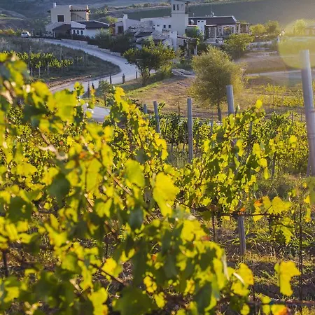 Zornitza Family Estate Relais & Chateaux 3*